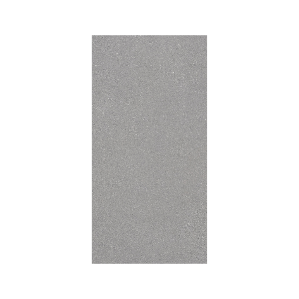 Ergon Grainstone 60x120 cm Grau rec. R10B